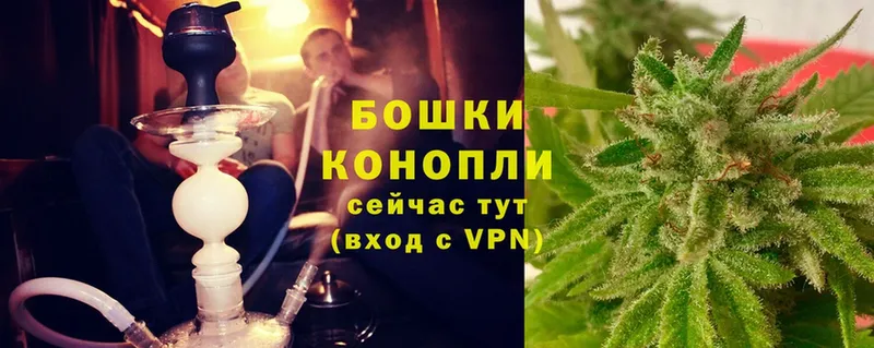 Бошки Шишки White Widow  Ельня 